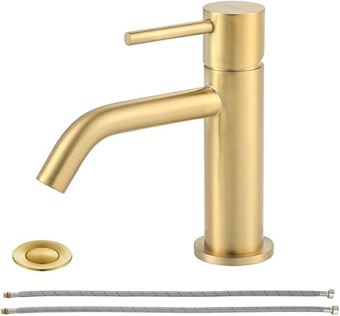 Ezanda Brass Single Handle Bathroom Faucet With Pop Up Sink Drain