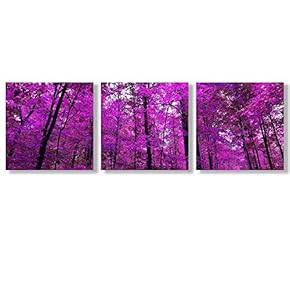 Canvas Wall Art Beautiful Pink Forest Collections Picked Painting Artwork for Home Prints Framed - 12"x12"x3 Panels