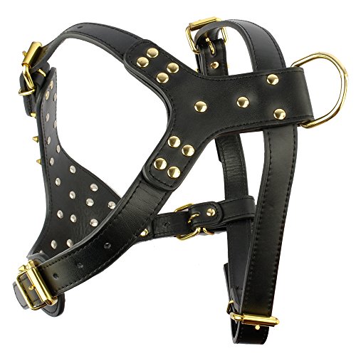 Berry Pet Black Leather with Golden Spikes Studded Medium & Large Dog Collar & Leash & Harness 3 Pcs Set for Pitbull Boxer, Black 17-20" - Thumbnail 2