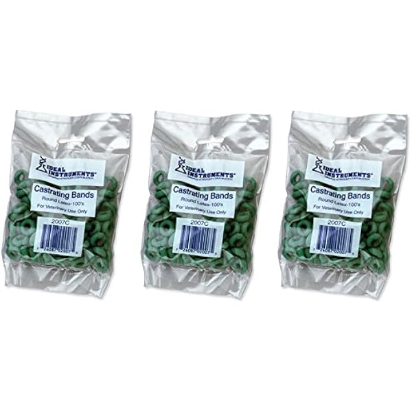 castrating cats with bands