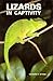 Lizards in Captivity by 