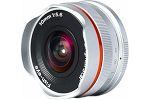 Brightin Star 10mm F5.6 Fisheye Wide Angle APS-C Manual Foucus Mirrorless Camera Lens, Fit for Panasonic LUMIX Olympus Micro4
