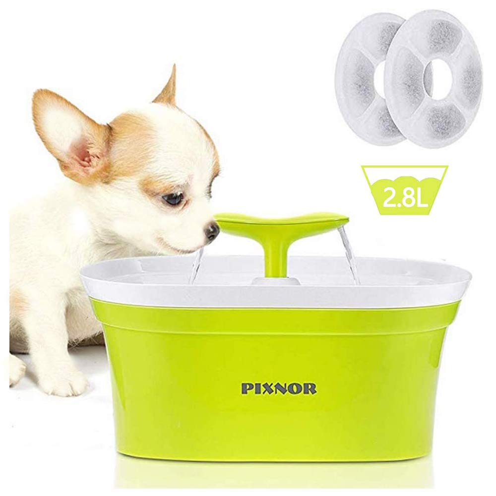 Can I Use Charcoal In Dogs Water