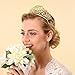 Topwedding Gold Wedding Crown Rhinestone Bridal Tiara Headband Crystal Pageant Headpiece Hair Accessories for Women