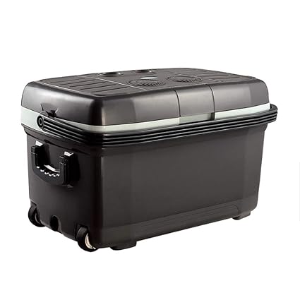 Amazon.es: 45L coche mini refrigerador pequeño doble voltaje 12V ...