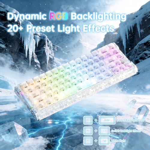 ATTACK SHARK R68 HE 8000Hz Rapid Trigger Keyboard, 0.005mm RT Accuracy Wired Gaming Keyboard, Carbon Fiber Top & Keycaps, CNC Aluminum Sides, Magnetic Switch, RGB Backlit, C01 Coiled Cable, Ice Ninja