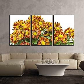 Chrysanthemum Morifolium x3 Panels