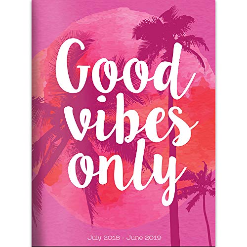 B.e.s.t TF Publishing 19-4216A July 2018 - June 2019 Good Vibes Monthly Planner, 7.5 x 10.25
