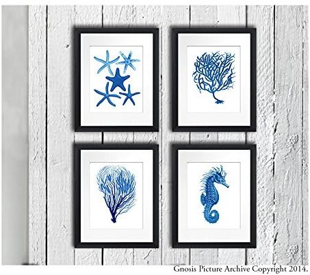 Blue Beach Wall Decor Set of 4 Unframed Sea Corals Seahorse Starfish Beach Bathroom Art Prints by Gnosis Picture Archive