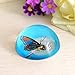 H&D Crystal Glass Dome Paperweight Hemisphere Ball Butterfly Paperweight for Home Decoration (Blue 1)