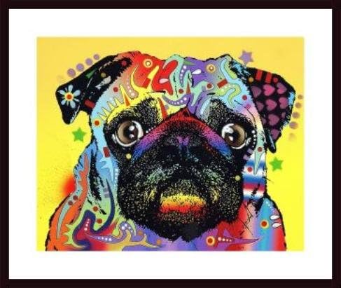 Pug, framed black wood, white matte
