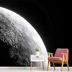 signwin Wall Mural The Beautiful Space World Removable...