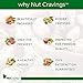 NUT CRAVINGS - Roasted & Salted Mixed Nuts - Brazils, Brazil, Pecan, Almond, Hazelnut, Cashew (16oz - 1 LB) Packed Fresh in Resealable Bag - Healthy Protein Food, Natural, Keto Friendly, Vegan, Kosher