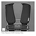 RECARO Roadster Convertible Carseat, Vibe, 5-65 Pounds