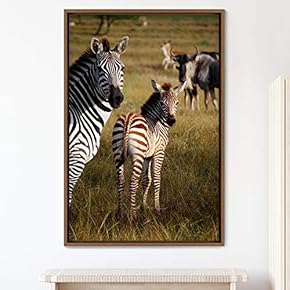 signwin Framed Canvas Wall Art Zebra Animals Dramatic...
