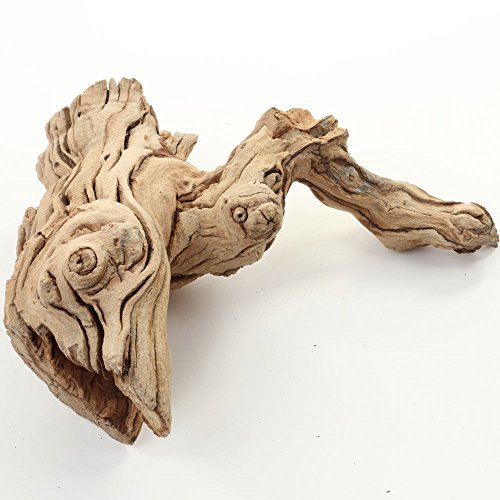 Koyal Wholesale Natural Grapewood Vine Branch, 6-Inch