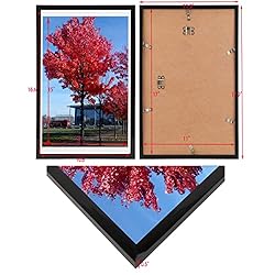 Medog 11x17 9x15 Picture Frame Black Poster Frame