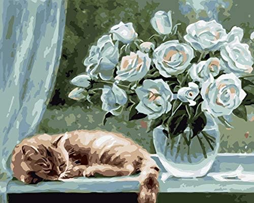 Diy Pintura Al Oleo Dibujo Pintura Por Numeros Diy Ross Gato Dormido Animal Pared Arte Imagen Pintura Acrilica Para Decoracion De La Boda Amazon Es Hogar