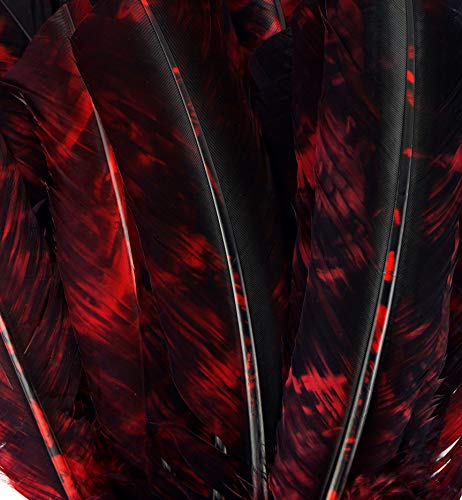 Zucker 6 pc Tie Dye Turkey Feathers Craft Supplies, Headdress/Dream Catcher - 10-12 inch - Red and Black