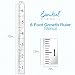 6ft Growth Chart Ruler Stencil | Ideal for Painting On Wood, DIY French Country Home Decor, Rustic Decor for Farmhouse, Fixer Upper, Joanna Gaines, Magnolia Style (DIY 6 Foot Template)