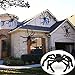 Erholi Halloween Solid Decorations Simulation Plush Spider Decorative Props Photobooth Props(75 x 75cm/29.5 x 29.5inch)