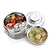 Fatmingo Stainless Steel Thermal Food Container,Insulated Lunch Box 2 Tier with Hand Bag (1.5L Silver)
