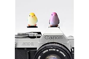 ZOSTLAND Special SLR Camera Hot Shoe Boot Cover Cap,Attractive Shoe Protector,Compatible with Sony Fuji Canon Nikon Pentax Leical. (2pcs Bird)