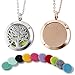 2 Pack Necklace Diffuser Locket,GoorDik Essential Oil Aromatherapy Diffuser Necklace 10 Felt Pads — Stainless Steel Rose Gold Cloud and Steel Color Tree Pendant Locket