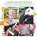 Paint Markers with Chisel Tip Fine Control - Imported from Japan, Precision Paint Pen for Rock Painting - Glass & Mug Permament Oil Based 18-Pack Multi Color