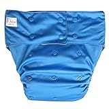 EcoAble Incontinence Cloth Diaper with Insert Pad, Teen & Adult One Size (Blue)