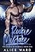 Rookie Mistake (The Beasts of Baseball Book 1)
