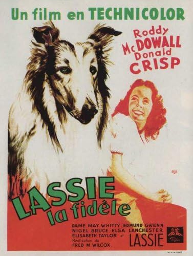 Amazon Com Elizabeth Taylor Lassie Come Home 1943 Poster Movie French 11 X 17 Inches 28cm X 44cm Roddy Mcdowall Donald Crisp Edmund Gwenn May Whitty Nigel Bruce Elsa Lanchester J