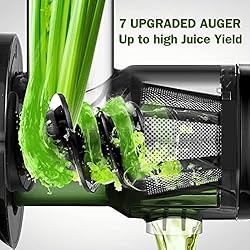 Slow Juicer Machines, AMZCHEF Masticating Juicer