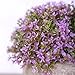 HC STAR Artificial Plant Potted Mini Fake Plant Decorative Lifelike Flower Green Plants Fake Flowers Small Fake Plants for Home/Office Decor/Desk/Kitchen/Bathroom/Shelves Purple Decor