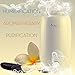 Purest Naturals Ultrasonic Cool Mist Humidifiers for Bedroom - 3.8L Large Capacity, Whisper-Quiet Operation, Automatic Shut-Off, 360° Rotatable - Humidifier Diffuser Combo