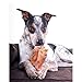 Downtown Pet Supply - Jumbo Pig Ears - Dog Dental Treats & Rawhide-Free Dog Chews - Healthy Coat & Skin Care, Cholesterol & Heart Health - Protein, Vitamins & Minerals - 10 Pack