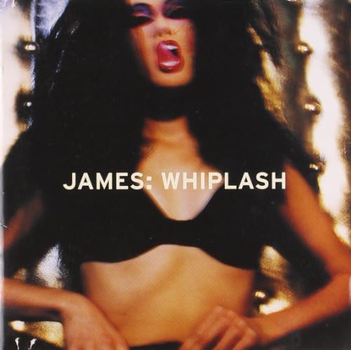 Jungle Fever Jean-Paul Goude 写真集 Jungle Fever: Jean-Paul Goude: 9780937950012: Amazon.com: Books
