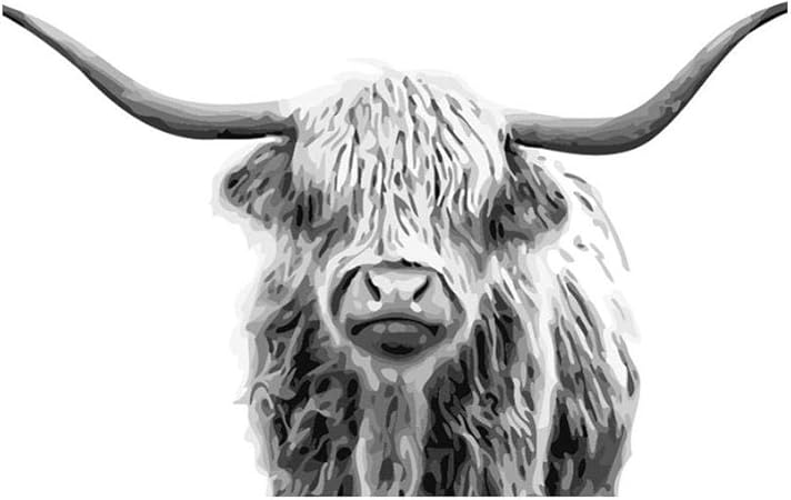 Amazon 油絵 数字 グレイヤク キットによる絵画 塗り絵 大人 初心者 手塗り Diy絵 デジタル油絵 40x50センチ フレームなし ぬりえ おもちゃ