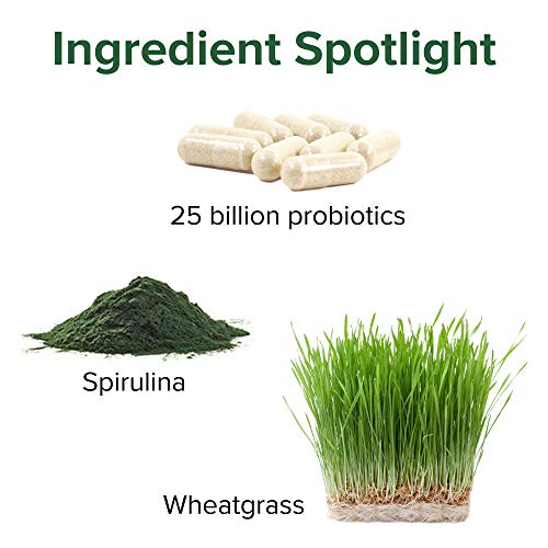 Green Vibrance Superfood Powder - Image 5