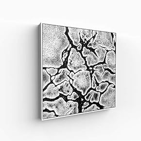 Canvas Wall Art for Living Room, Bedroom Silence Framed Canvas Prints for Home Decoration Ready to Hang - 16x16 inches