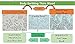 Gaia's Remedies Earthing Grounding Half Sheet with Cord • Fits King or Queen • Organic Cotton - Silver Antimicrobial Fiber. EMF Protection - Sleep Therapy, Relieve Pain, Inflammation, Beige color