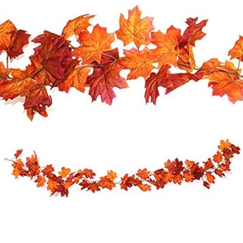 Résultat de recherche d'images pour 