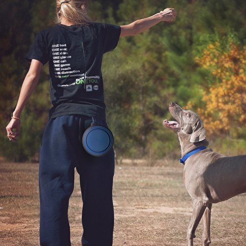 Well Wreapped Freefa Gamelles De Voyage Gamelle Pour Chien