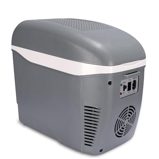 Compra SL&BX 7.Refrigerador del coche 5l, Frigorífico mini nevera ...