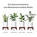 Mkono Plant Stand Wood Mid Century Flower Pot Holder (Pot Not Included) Home Decor Potted Rack Rustic Decor, Fits Up to 12 Inch Planter, Brown