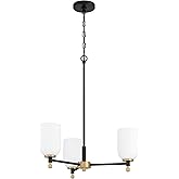 Craftmade 60323-FBSB Council Chandelier, (3) E26 Sockets, Flat Black/Satin Brass (Bulbs NOT Included)