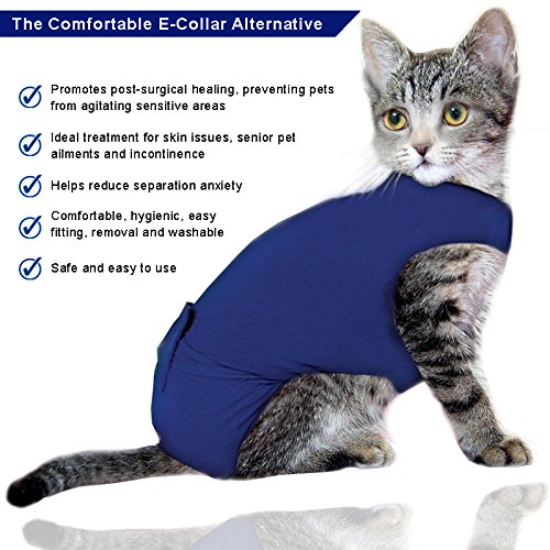 Cat Medical Vest Recovery Suit For Cats and Small Dogs Buy Online