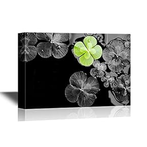 Four Leaf Luck Clovers