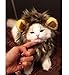 DOGLOVEIT Lion Mane for Cat Appreal, Pet Costume Lion Wig for Dog Cat Halloween Pet Dress up with Ears