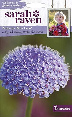 Amazon 輸入種子 Johnsons Seeds Sarah Raven Cut Flowers Gorgeous Gardens Didiscus Blue Lace サラ レイブン カットフラワーズ ディディスカス ブルー レース ジョンソンズシード 花
